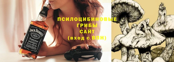 твердый Армянск
