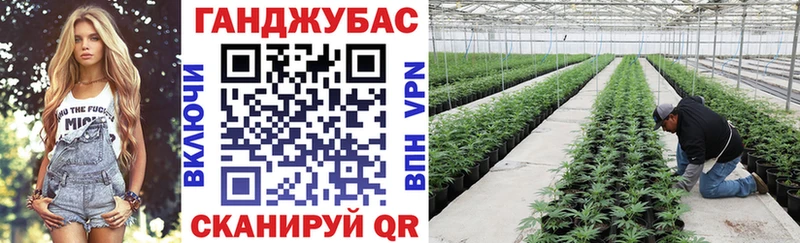 Каннабис планчик Сухиничи